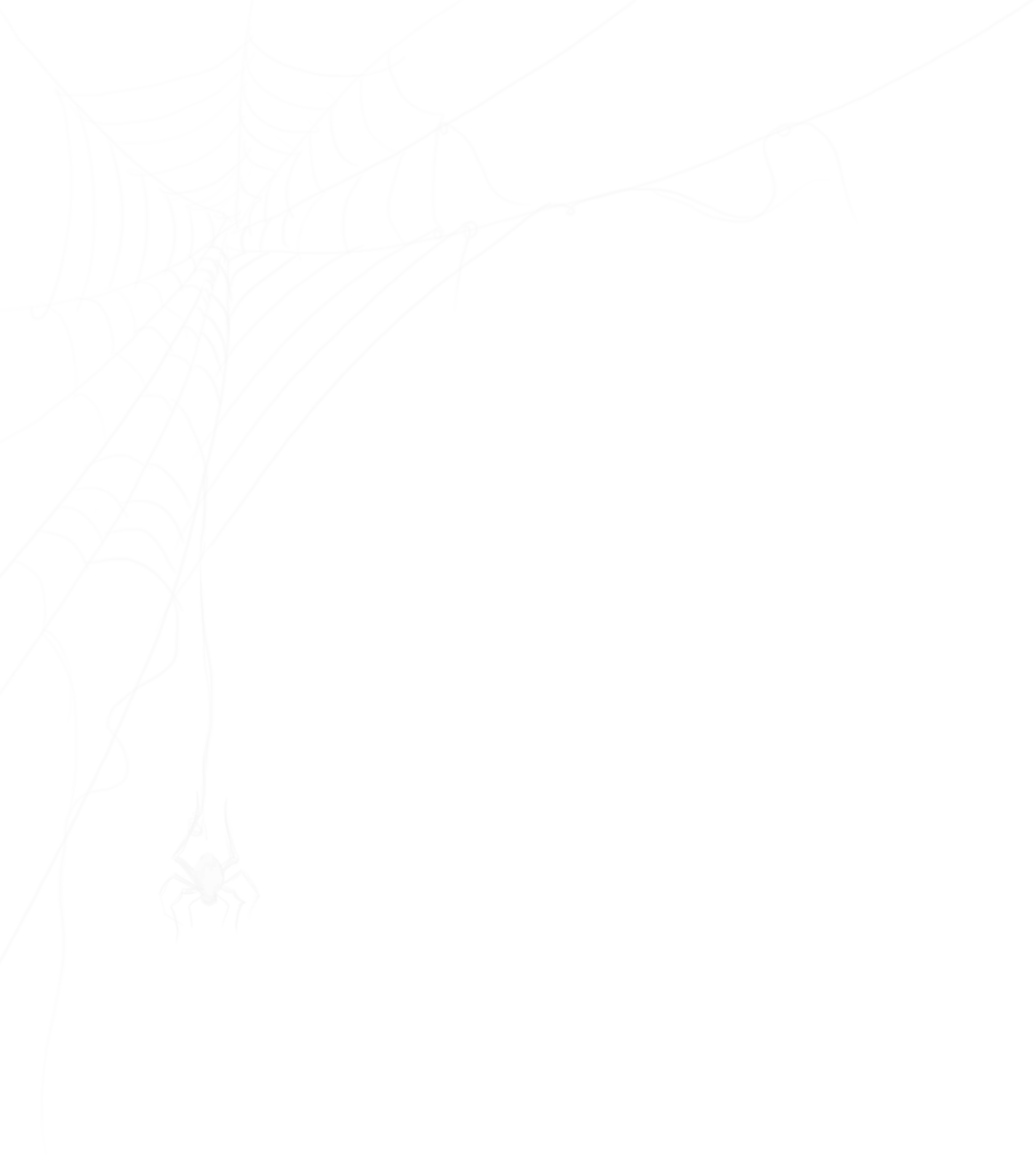 spider-top-left